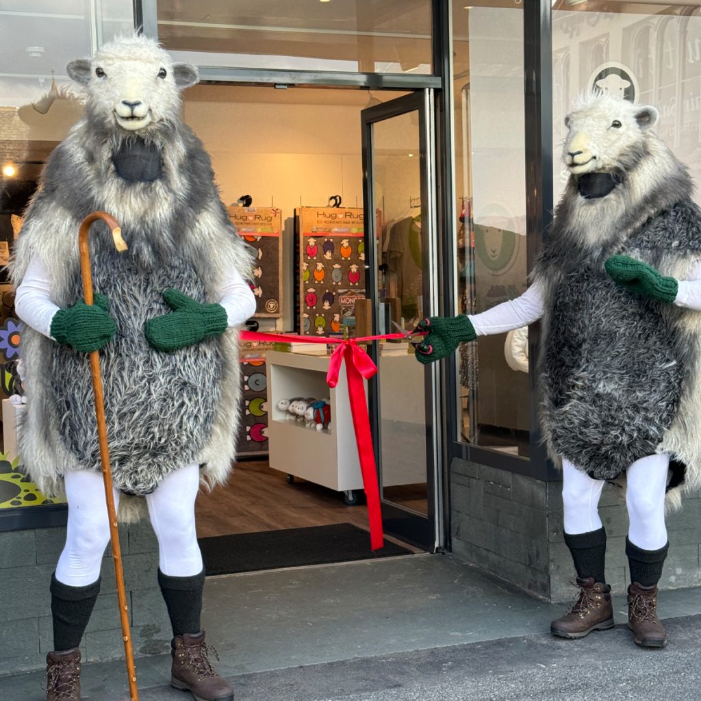 two Herdwick Sheep cutting a ribbon to open the new Herdy Ambleside shop