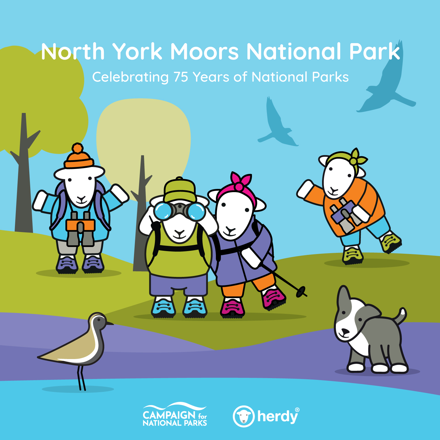 herdy in the North York Moors National Park, celebrating 75 years of National Parks