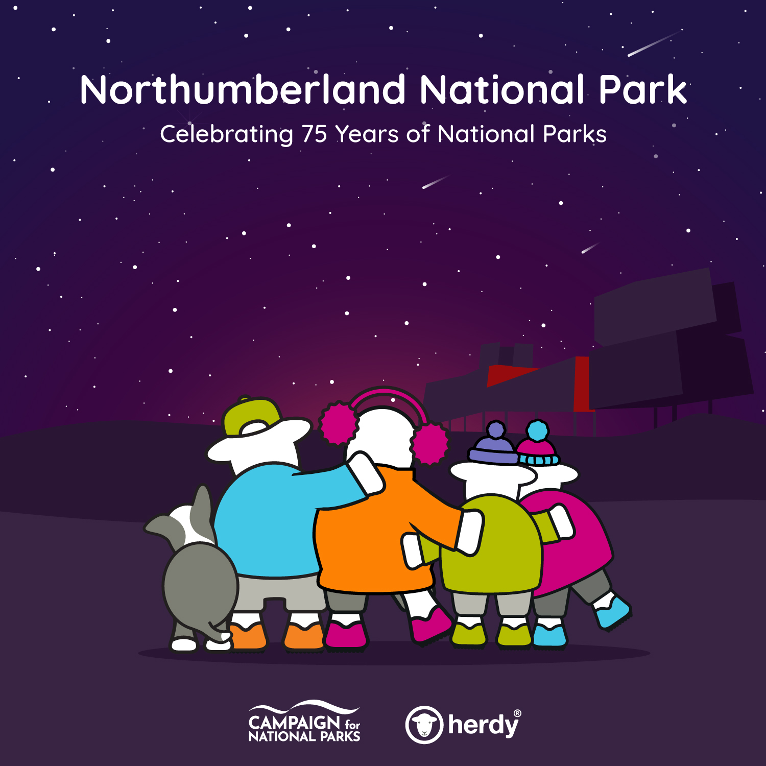 herdy in the Northumberland National Park, celebrating 75 years of National Parks