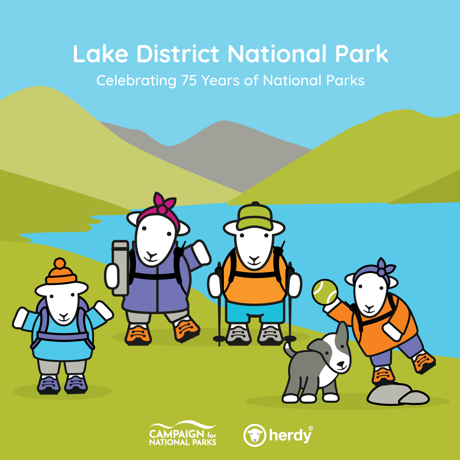 herdy in the Lake District National Park, celebrating 75 years of National Parks