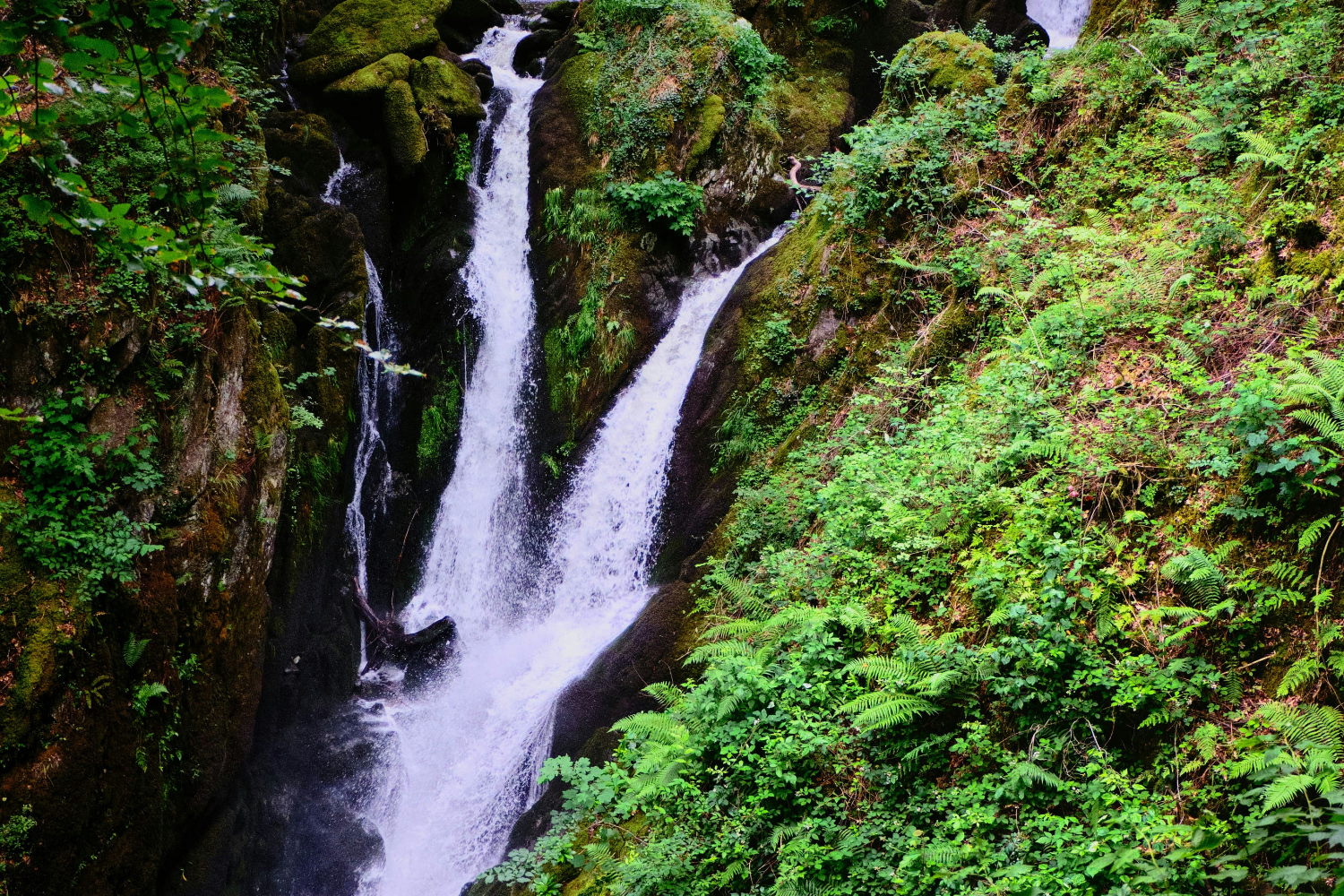 Rain in the Lake District: a waterfall in the lake District