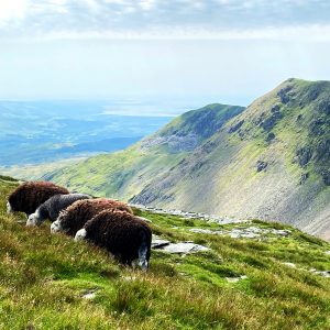 Challenging Rambling Routes in The Lake District