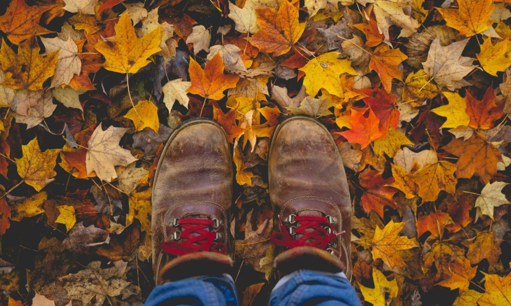 walking boots stood in the autumn leaves