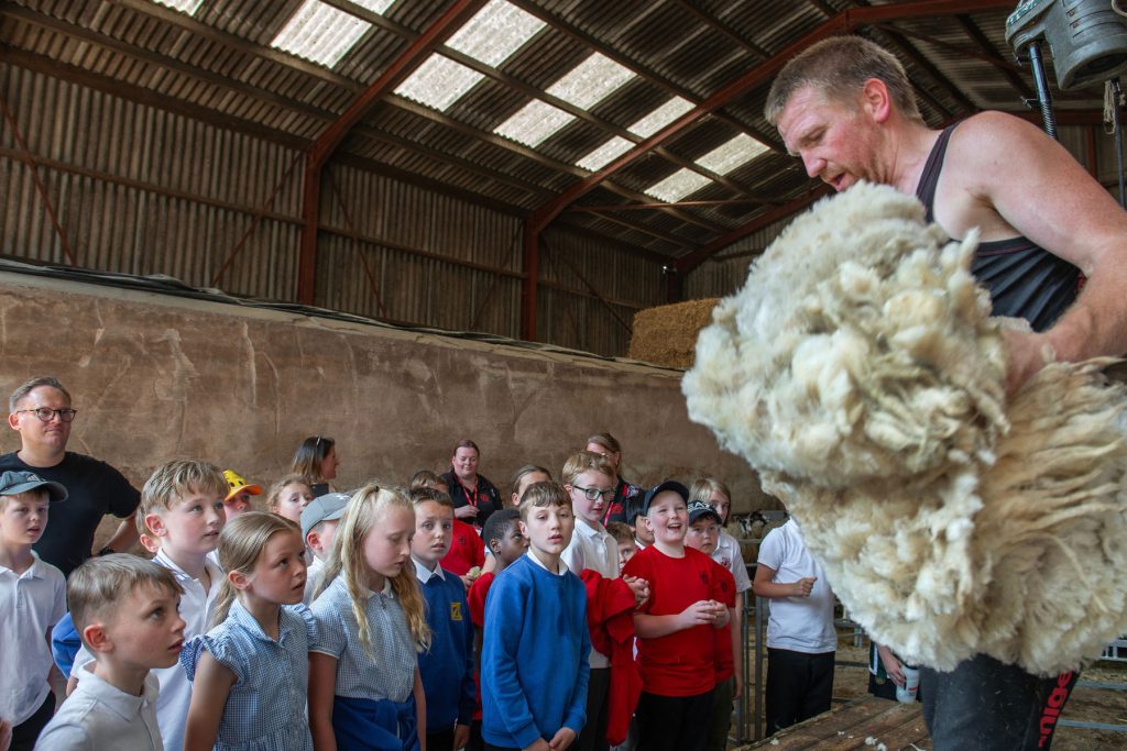 Farmer showing a group of children the fleece of a sheep