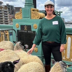 A Woolly Weekend: Sheep Drive 2024